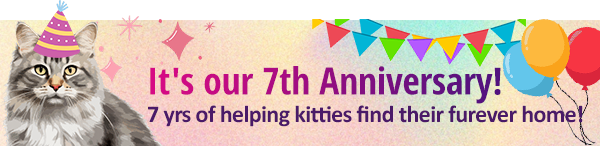 anniversary banner