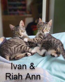 Ivan & Riah Ann
