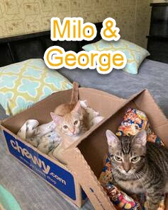 Milo & George