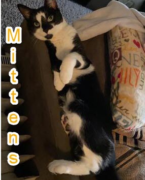 Mittens
