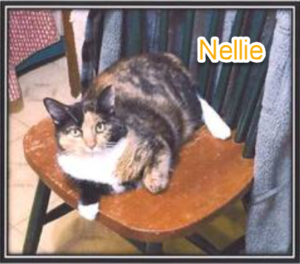 Nellie