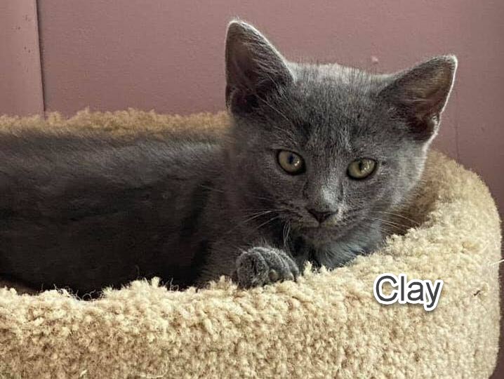 clay