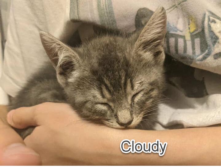 cloudy