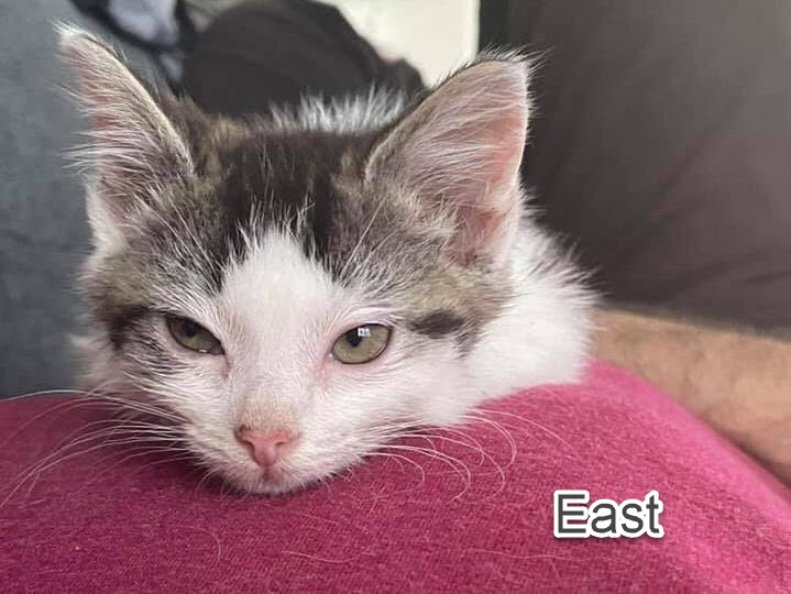 east