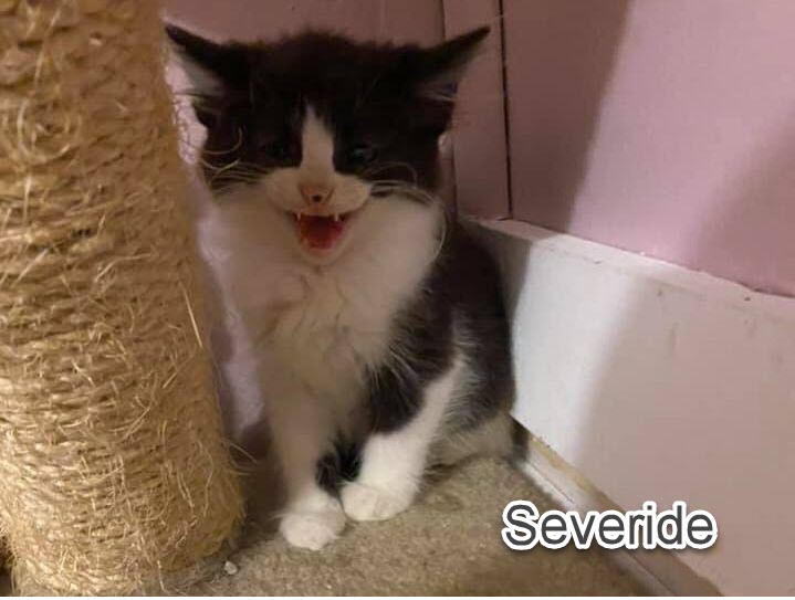 severide