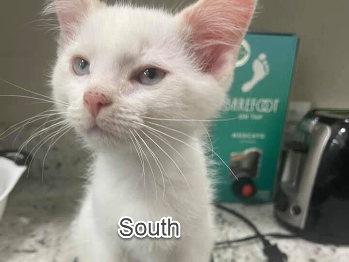 south