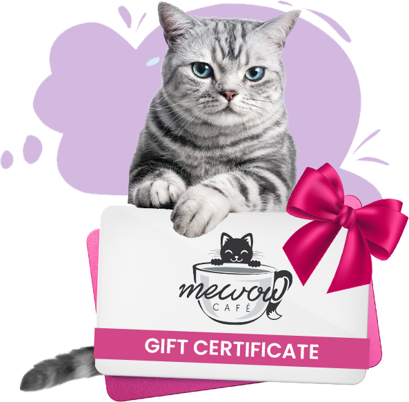 Gift_certificate