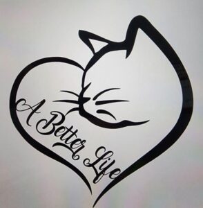 A Better Life