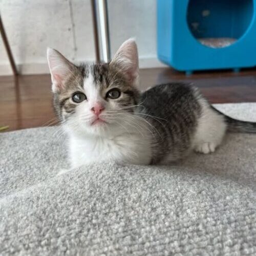 509879078_1302490388549877_4369385570090597046_n